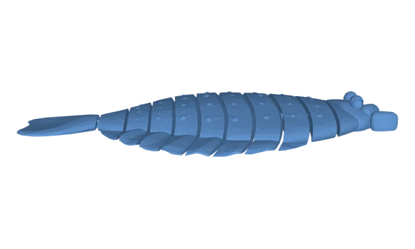 Flat fish, seen from the side