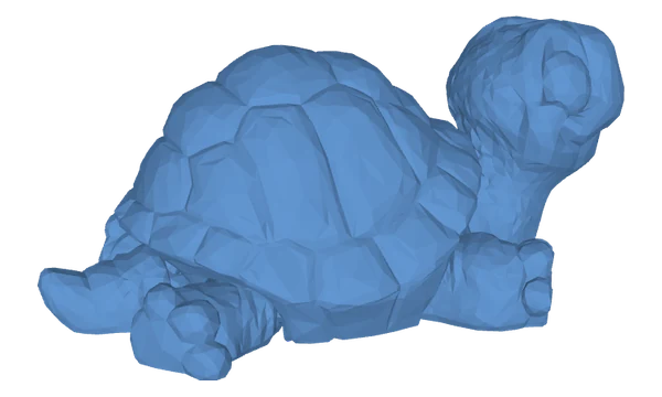 Tortoise, seen from the side